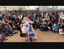 ホモと見るカメラ小僧