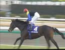 【競馬】　２０１９年　亡くなった名馬たち