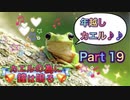 【実況】カエルの為に鐘は鳴るやろうぜ！　その１９ッ！