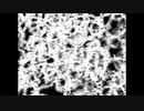【うたってみた】害虫【沁】