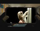 年越し15秒前に見る動画