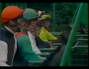 [海外競馬]　第31回 KジョージⅥ世＆クイーンエリザベスS - Shergar