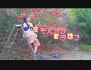 【ものくま】夜もすがら君想ふ【踊ってみた】