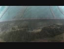 戦場の絆4.27 メサイア S5 44 シナンジュ・スタイン(NT)①