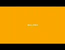 The Strokes - IN TRANSIT 5/5