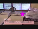 ちょっとノリノリスクリプトを使用してみた先輩