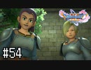 【実況】人見知りな勇者御一行と虚言癖の村人 #54【DQ11S】