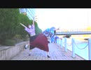【なのちゅん】きょうもハレバレ　踊ってみた