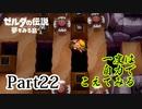求むー「ゼル伝」のプロー【ゼルダの伝説　夢をみる島】 part22