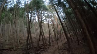 日本百名山追体験 1山目 雲取山 ダンディー part1 後編