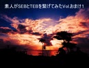 素人がSEBとTEBを繋げてみたVol.おまけ1