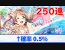 【スクスタ】フェスことり狙いで250連します「新年ガチャ」
