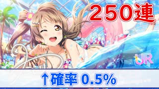 【スクスタ】フェスことり狙いで250連します「新年ガチャ」