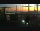 葛西臨海公園 なぎさ橋 閉門