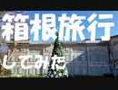 【現地調査】箱根旅行してみた。【写真と動画】