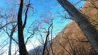 日本百名山追体験 1山目 雲取山 ダンディー part2 後編