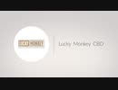 Lucky Monkey Best CBD Tincture in Provo, UT