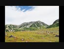 [Music] life size - 騒音のない世界