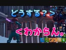 こんな試合は"経験"したことなかった。【フォートナイト】 -らてらって視点