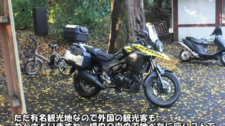 vストローム250でゆる～くツーリング　東京五社巡り