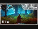 お正月企画なーさんの「シタデル」第10回