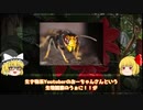 【外国からやってきた名ハンター】ツマアカスズメバチ【ゆっくり外来種解説】