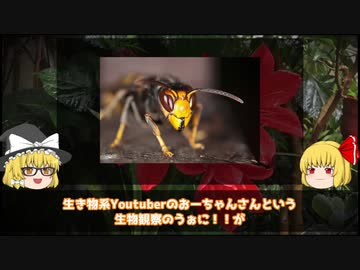 人気の 外来種 動画 179本 4 ニコニコ動画
