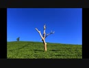 [Music] ねじ巻きの木 - 騒音のない世界