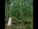 axis / the end