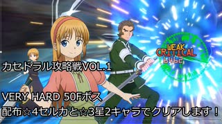 【SAOAB】カセドラル攻略戦VOL.1 VERY HARD 50Fボス☆4セルカと☆3、☆2キ...