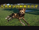 【Planet Zoo】リカオンさんの飼育エリアづくり！実況プレイ#22