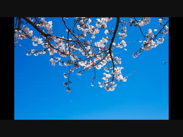 [Music] 春らんらん - 騒音のない世界