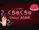 [ASMR]準備は念入りに。くちゅくちゅ1時間する音(睡眠/作業用)