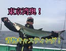 東京湾奥！サワラキャスティングに挑戦！【もっち釣動組合♯６６】