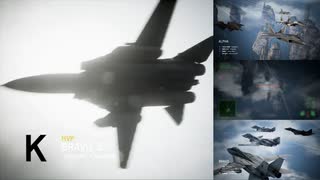 Ace Combat 7 Multiplayer557 チームデスマッチ F-14D + 8AAM