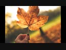 [Music] デイライト - 騒音のない世界