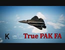 Ace Combat 7 Multiplayer561 バトルロイヤル Su-57 + 4AAM