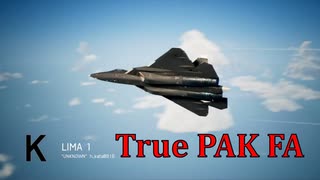 Ace Combat 7 Multiplayer561 バトルロイヤル Su-57 + 4AAM