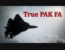 Ace Combat 7 Multiplayer562 バトルロイヤル Su-57 + 4AAM