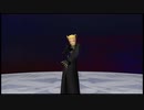 KINGDOM_HEARTS_2FM_クリティカルLV1プレイ日記【ラクシーヌ】