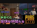 PUBGLITEソロ＆１組目【PUBGLITE】