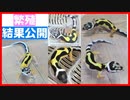 【超絶かわいい！】２０１９年レオパ(ヒョウモントカゲモドキ)の繁殖してみたら可愛すぎた！【５匹生まれました】
