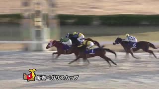 第22回新春ペガサスカップ エムエスオープン