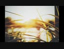 [Music] フレア - 騒音のない世界