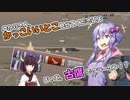 【WoWS】こんな海戦に巻き込まれた巡洋艦はどうすりゃいいですか！？＃０６『めっちゃ近いんですが…ｒｙ』