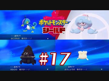 新春進化祭り【ポケットモンスターシールド】＃１７