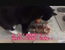 【ねことドイチ】寒い日もぽかぽかグリューヴァイン
