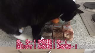 【ねことドイチ】寒い日もぽかぽかグリューヴァイン