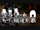 【VOICEROID車載】初心者の癖にカブで隧道制覇 14.5本目