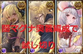 【グラブル】ビカラ・シャレム・ルシウスを闇マグナ奥義特化編成で試し切り　vsヘクトルHL